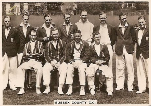 Image of Sussex County Cricket Team
