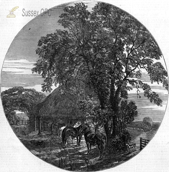 Image of Sussex - Cart Lodge