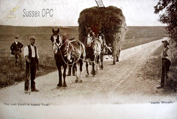 Image of The Last Load - A Sussex Team