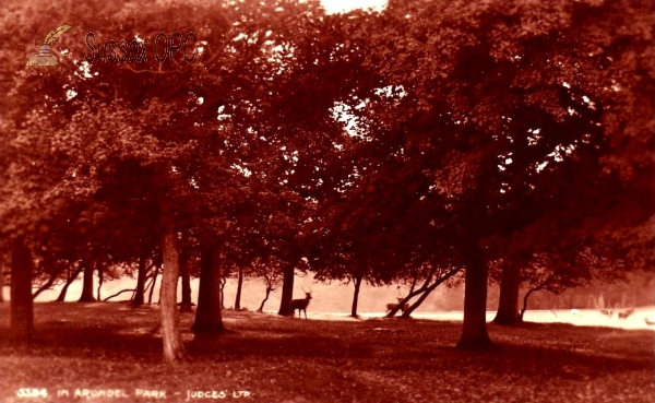 Image of Arundel - In Arundel Park