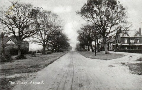 Image of Ashurst - The Village