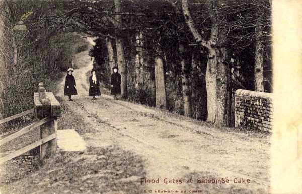 Image of Balcombe - Floodgates at Balcombe Lake