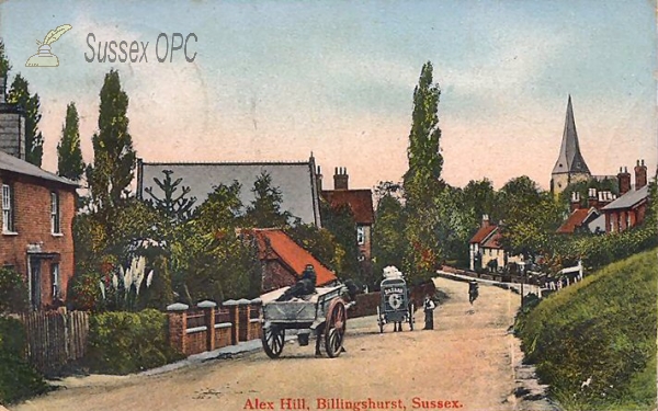 Billingshurst - Alex Hill