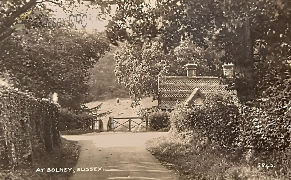Image of Bolney - General view