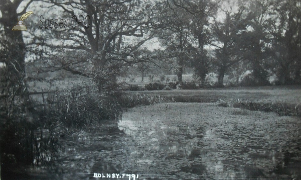 Image of Bolney - Agate's Pond