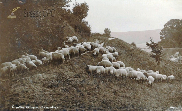 Image of Bramber - Castle Slope (Sheep)