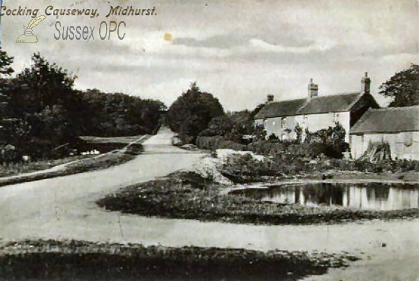 Image of Cocking - The Causeway