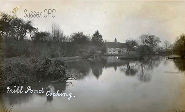 Image of Cocking - The Mill Pond