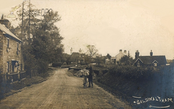 Image of Coldwaltham - Street Scene (Postman)