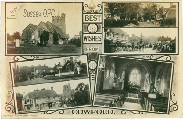 Image of Cowfold - Multiview