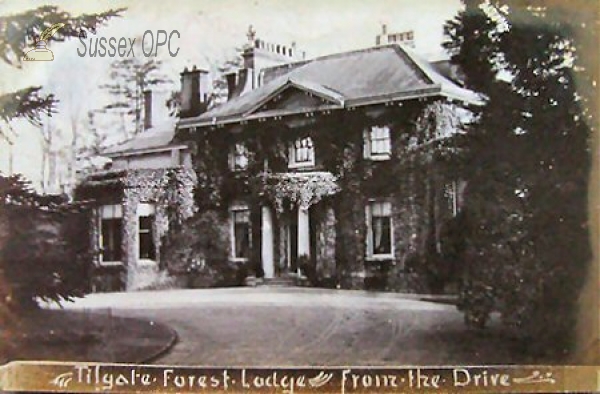 Image of Tilgate - Forest Lodge
