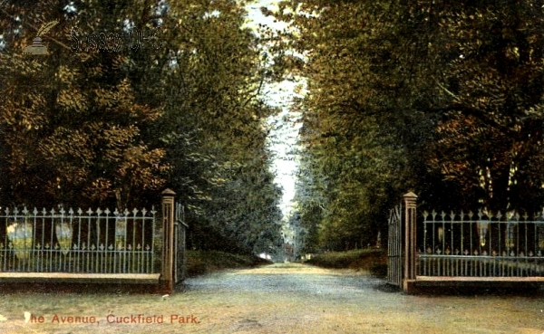 Image of Cuckfield - The Avenue, Cuckfield Park