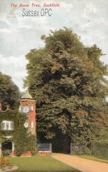 Image of Cuckfield - Cuckfield Park (Doom Tree)