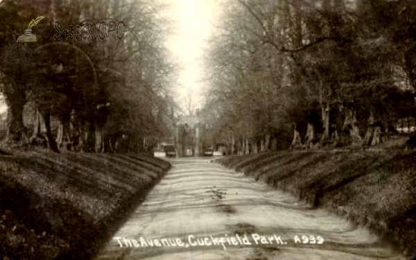 Image of Cuckfield - The Avenue, Cuckfield Park