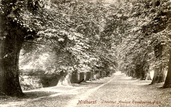 Image of Easebourne - Easebourne Park, Chestnut Avenue