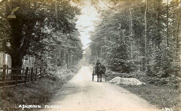 Image of Ashdown Forest