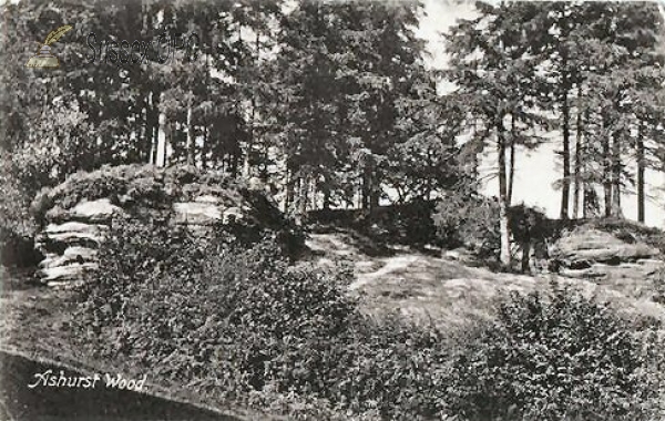 Ashurst Wood - Landscape