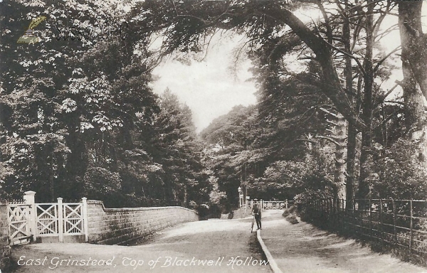 Image of East Grinstead - Blackwell Hollow (Top)