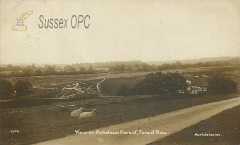 Image of Forest Row - Ashdown Forest