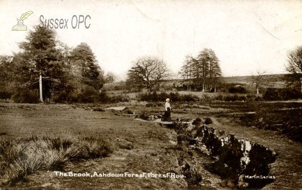 Image of Forest Row - The Brook, Ashdown Forest