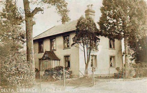 Image of Forest Row - Delta Cottage