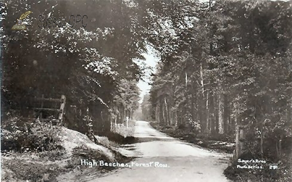 Image of Forest Row - High Beeches