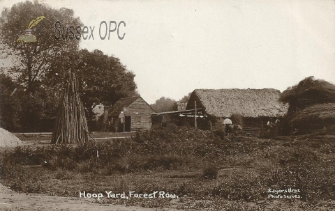 Image of Forest Row - Hoop Yard