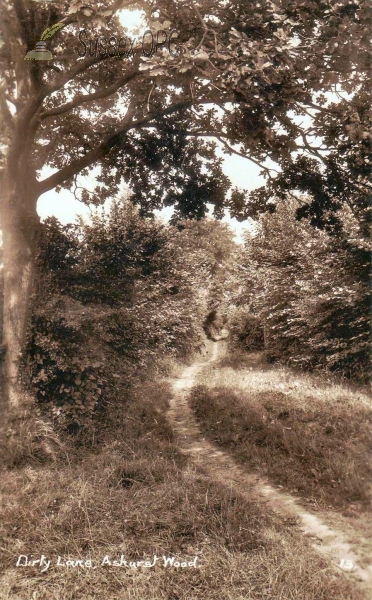Ashurst Wood - Dirty Lane