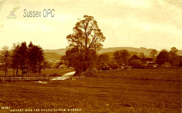 Image of East Lavant - View of the village