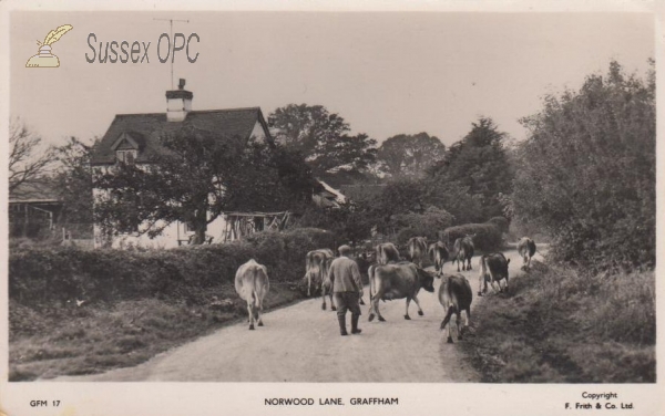 Image of Graffham - Norwood Lane