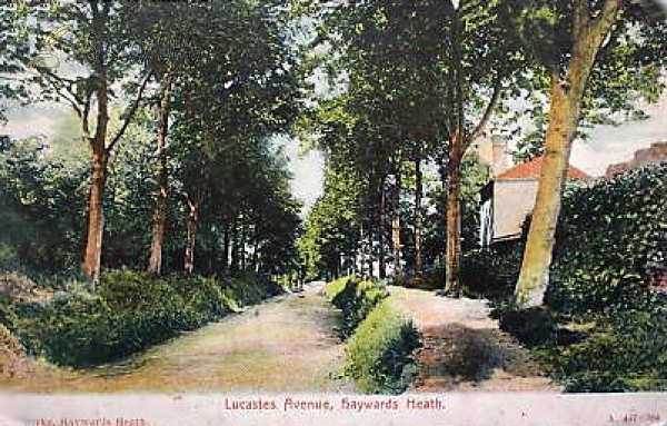 Image of Haywards Heath - Lucastes Avenue