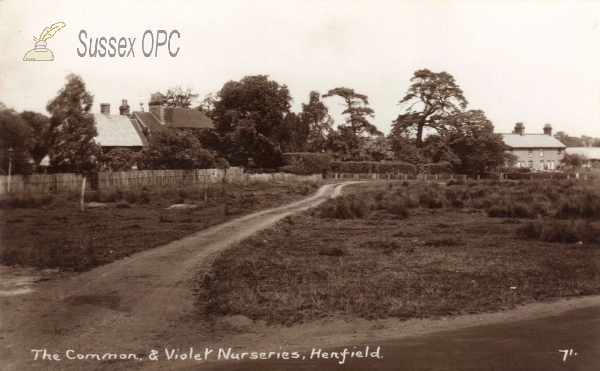 Image of Henfield - Common & Violet Nurseries