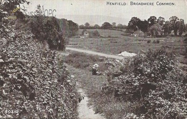 Image of Henfield - Broadmere Common