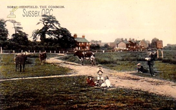 Image of Henfield - The Common