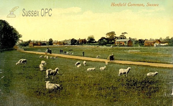 Image of Henfield - The Common