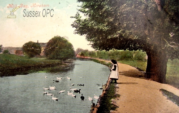 Image of Horsham - Mill Bay