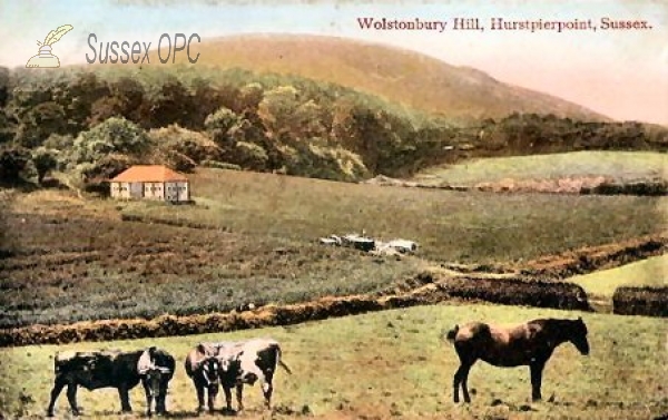 Image of Hurstpierpoint - Wolstonbury Hill