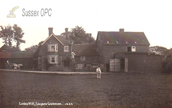 Image of Sayers Common - Cobbs Mill