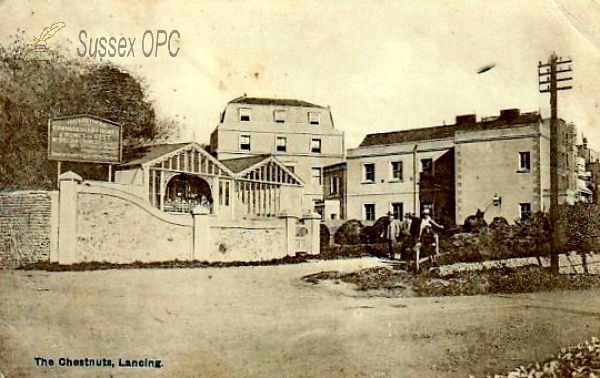 Image of Lancing - The Chestnuts
