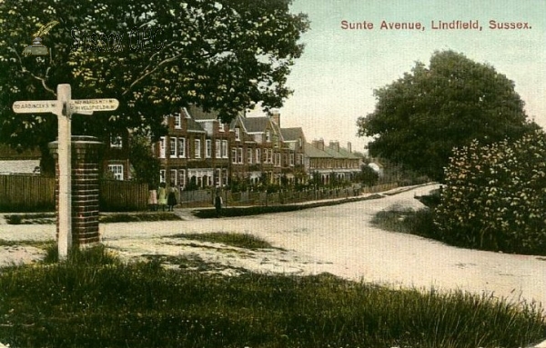 Image of Lindfield - Sunte Avenue