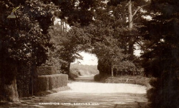 Image of Scaynes Hill - Hammonds Lane