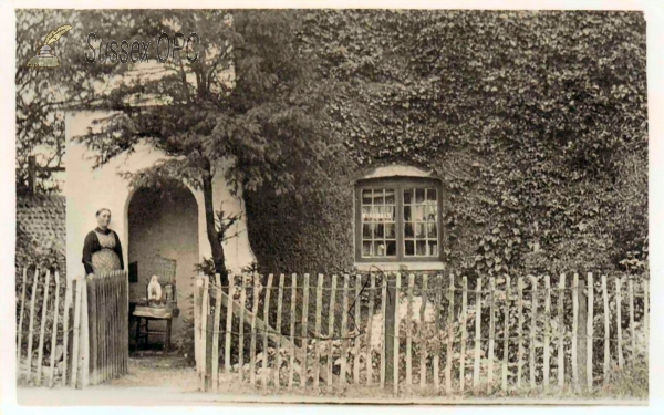 Image of LIttlehampton - Molly Gray's Cottage