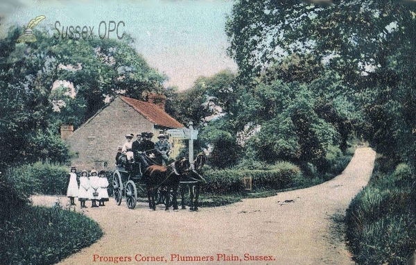 Image of Plummers Plain - Prongers Corner