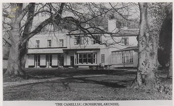 Image of Crossbush - The Camellia