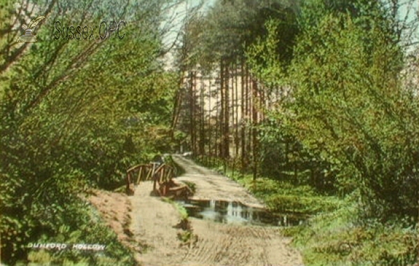 Image of Midhurst - Dunford Hollow