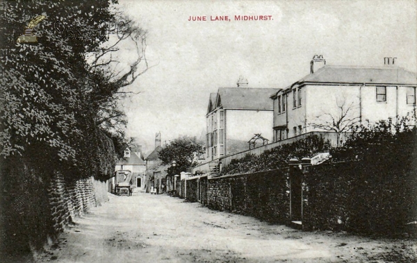 Image of Midhurst - June Lane