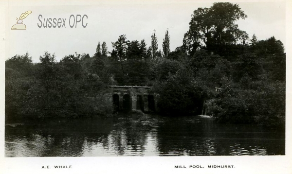 Image of Midhurst - Mill Pool