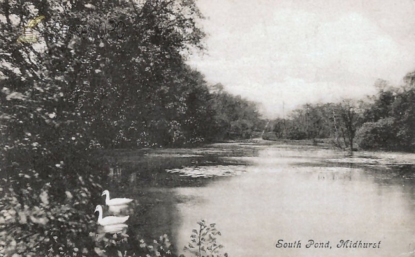 Image of Midhurst - South Pond