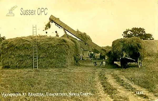 Image of Northchapel - Haymaking at Ashleigh, Fisherstreet