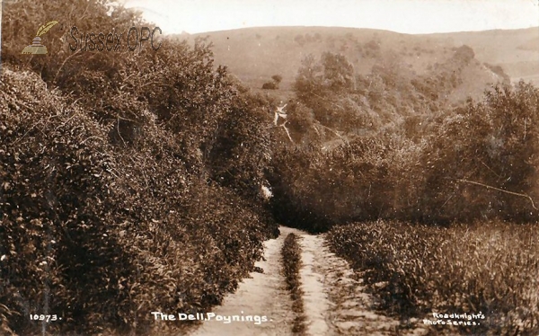 Image of Poynings - The Dell